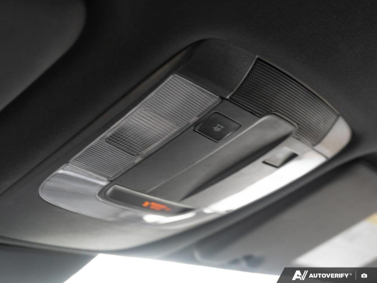 2023 Kia Sportage  Photo