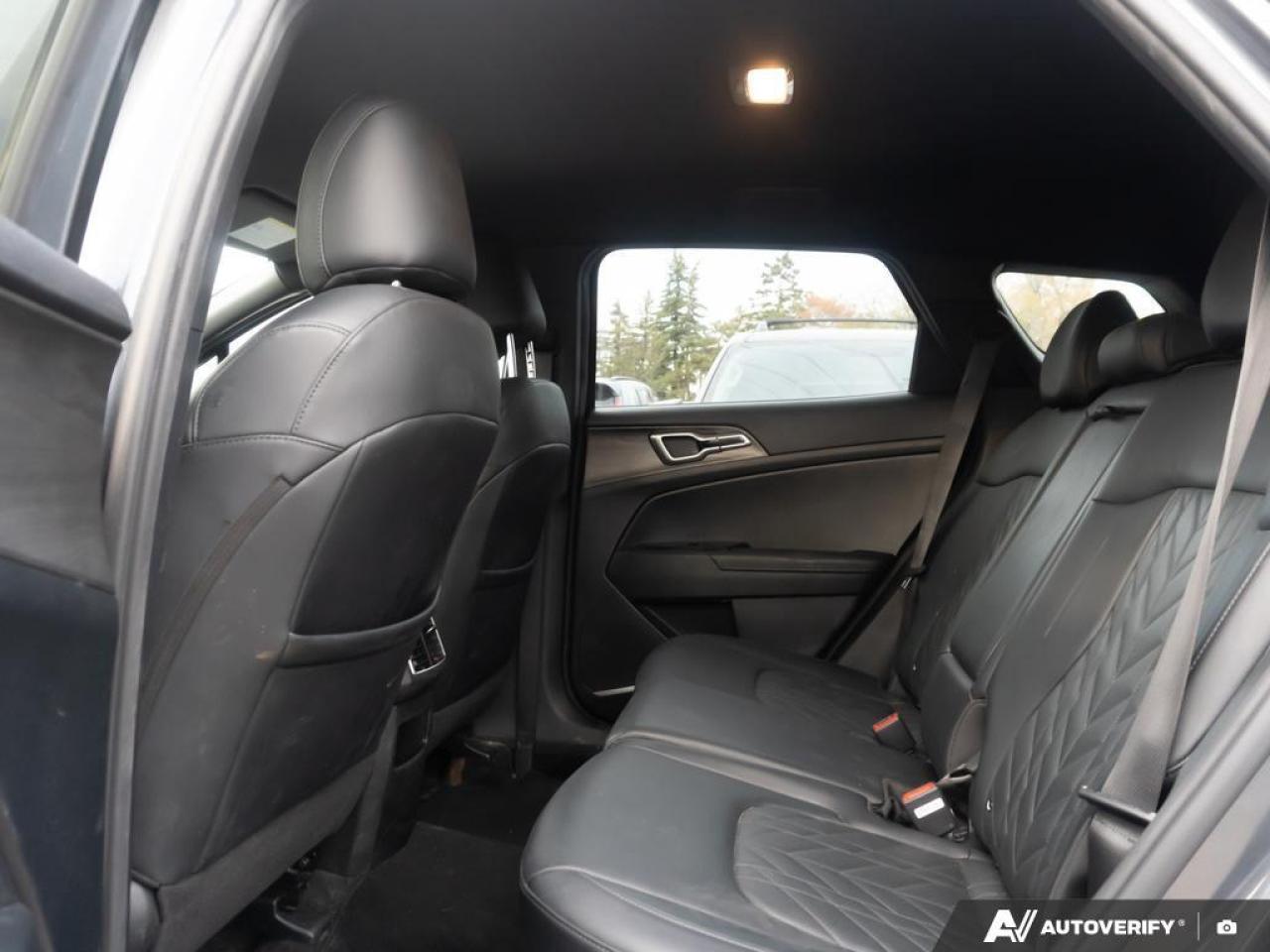 2023 Kia Sportage  Photo