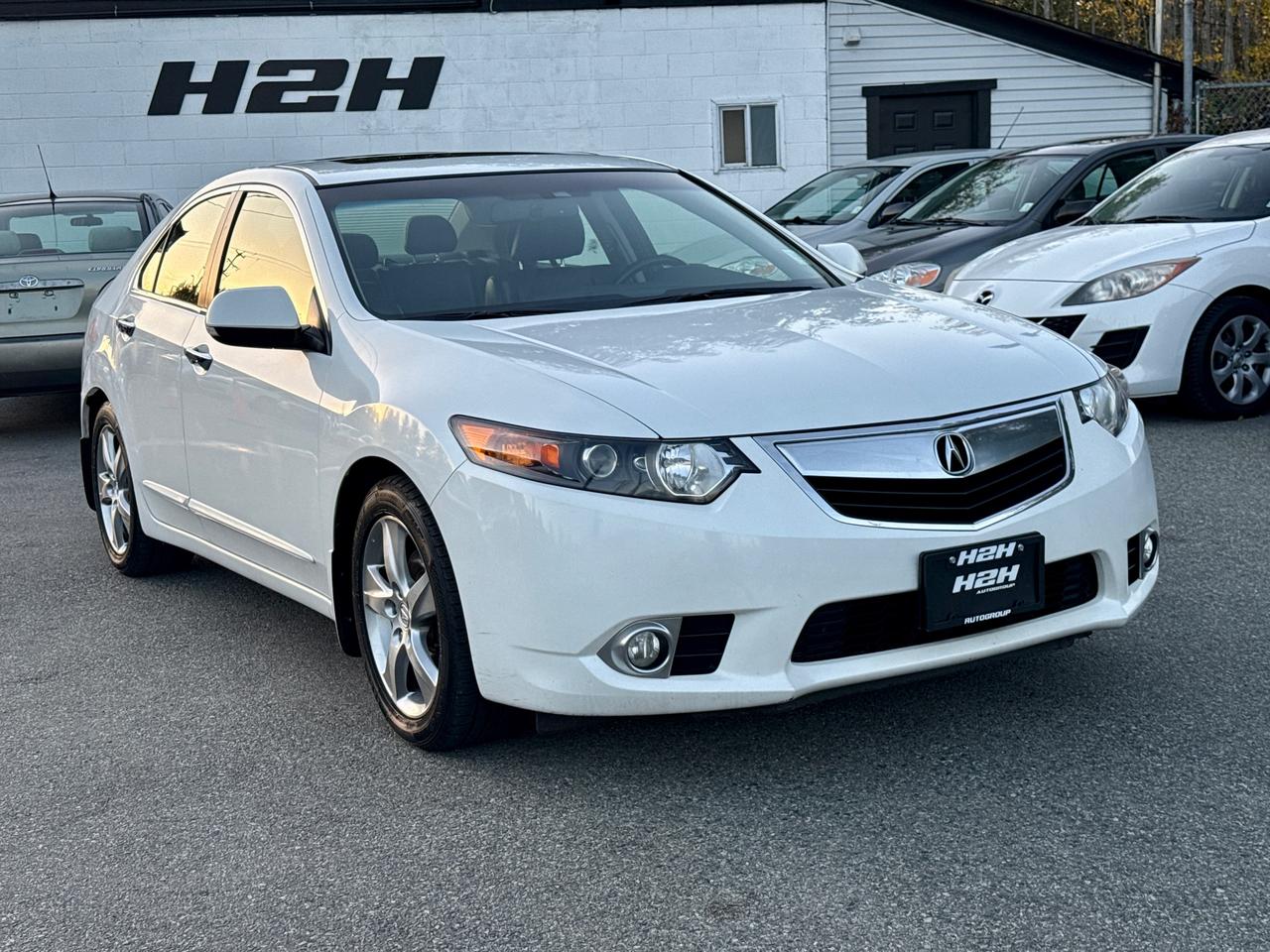 2013 Acura TSX Premium Pkg FINANCING AVAILABLE Photo3
