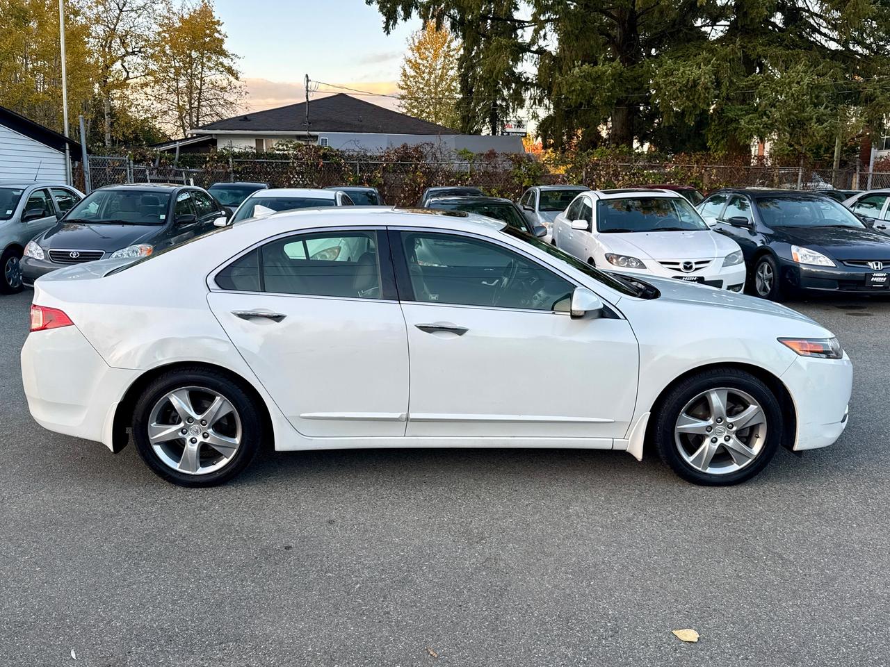 2013 Acura TSX Premium Pkg FINANCING AVAILABLE Photo4