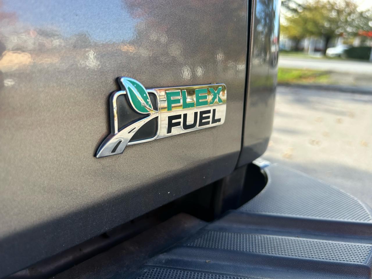 2010 Ford F-150 FX4 - Photo #18