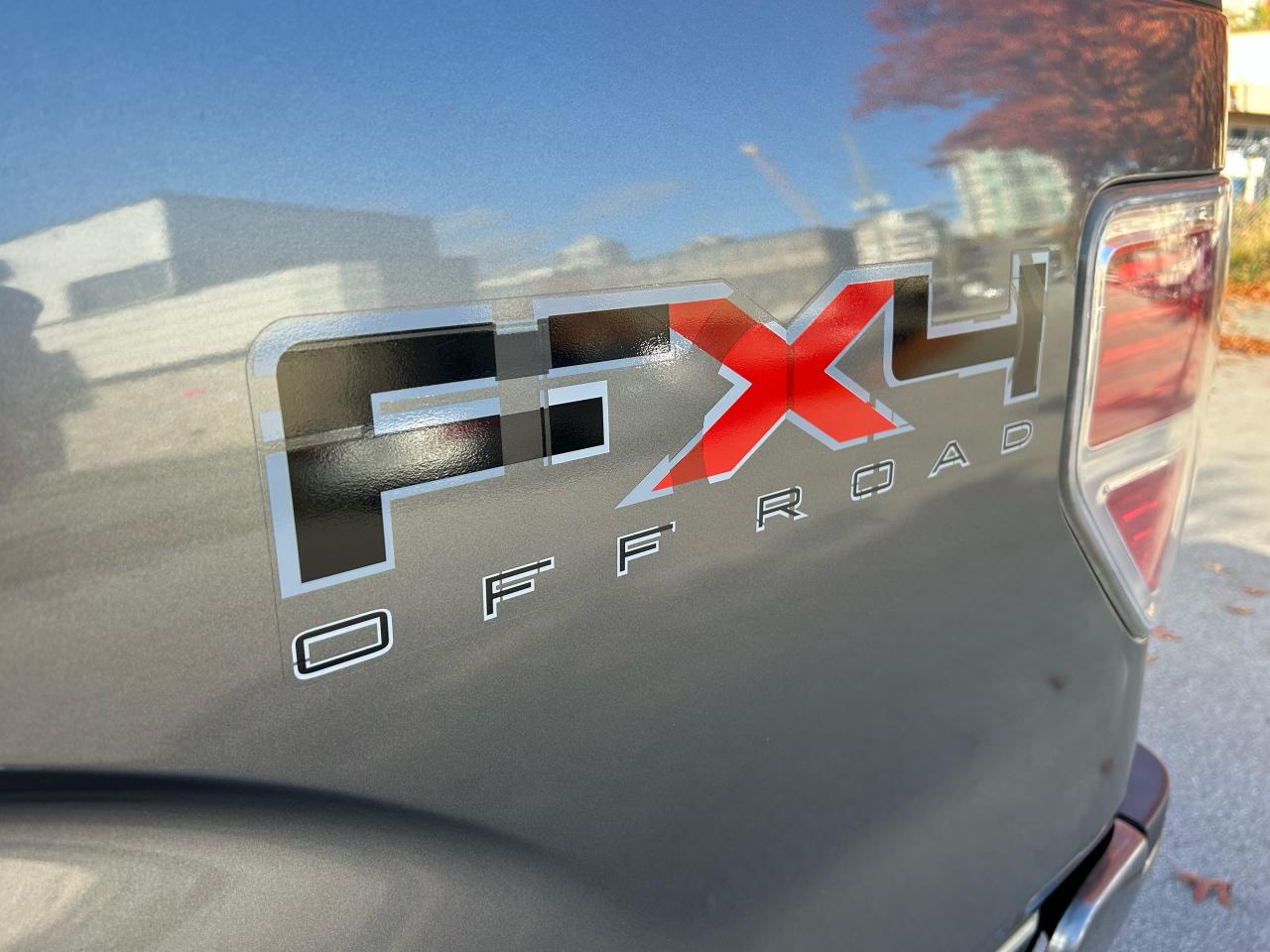 2010 Ford F-150 FX4 - Photo #17