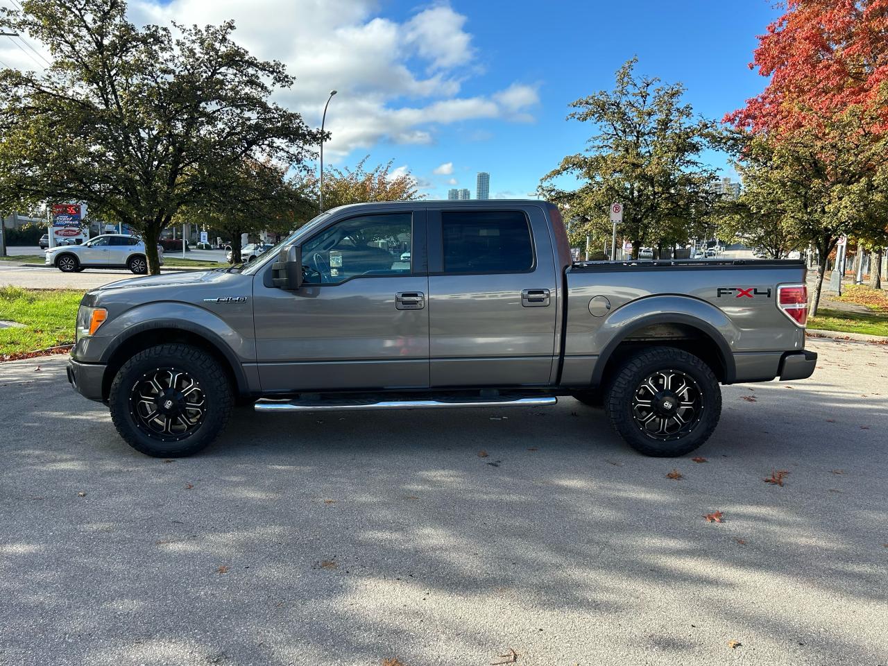 2010 Ford F-150 FX4 - Photo #2