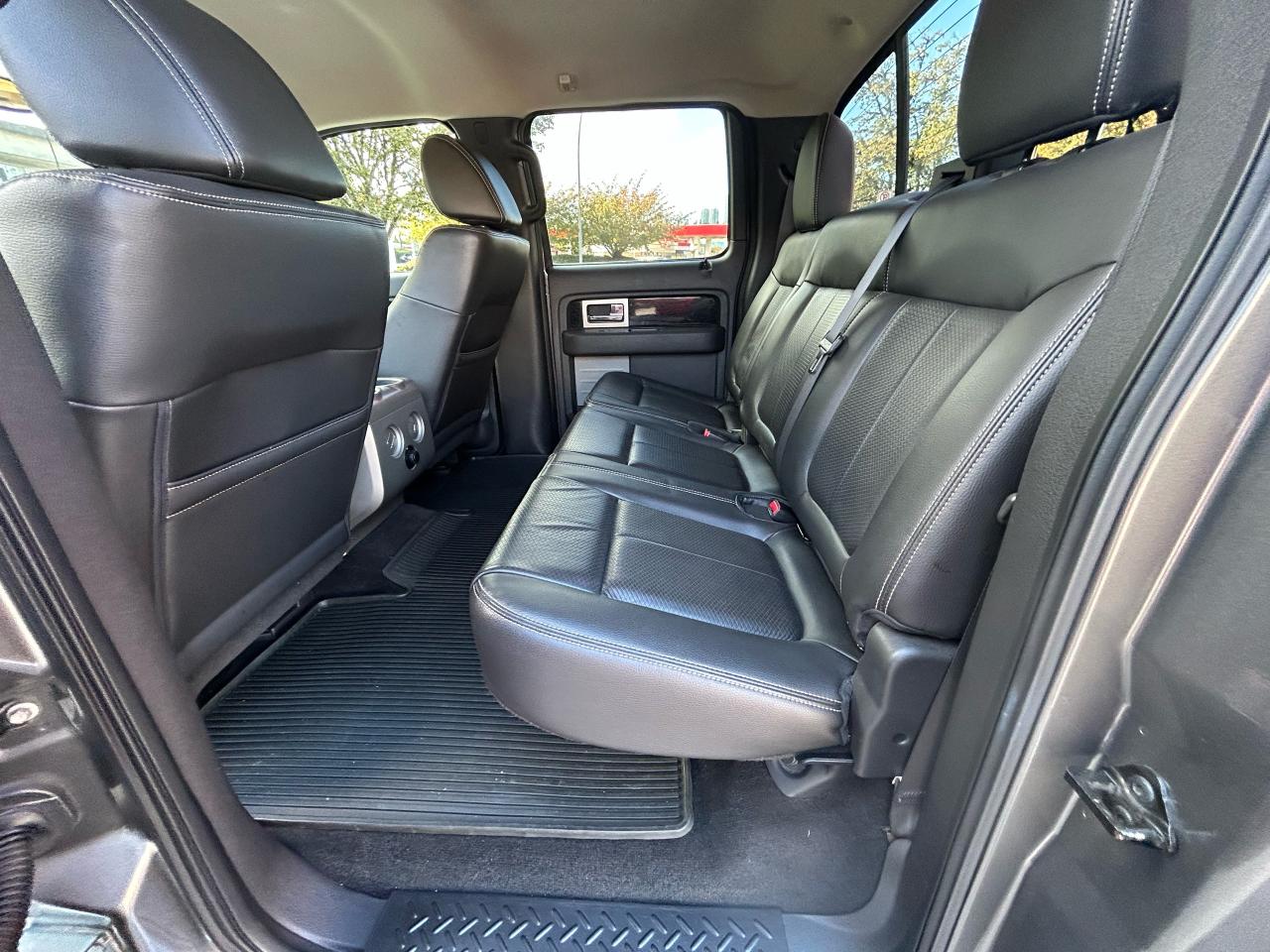 2010 Ford F-150 FX4 - Photo #12