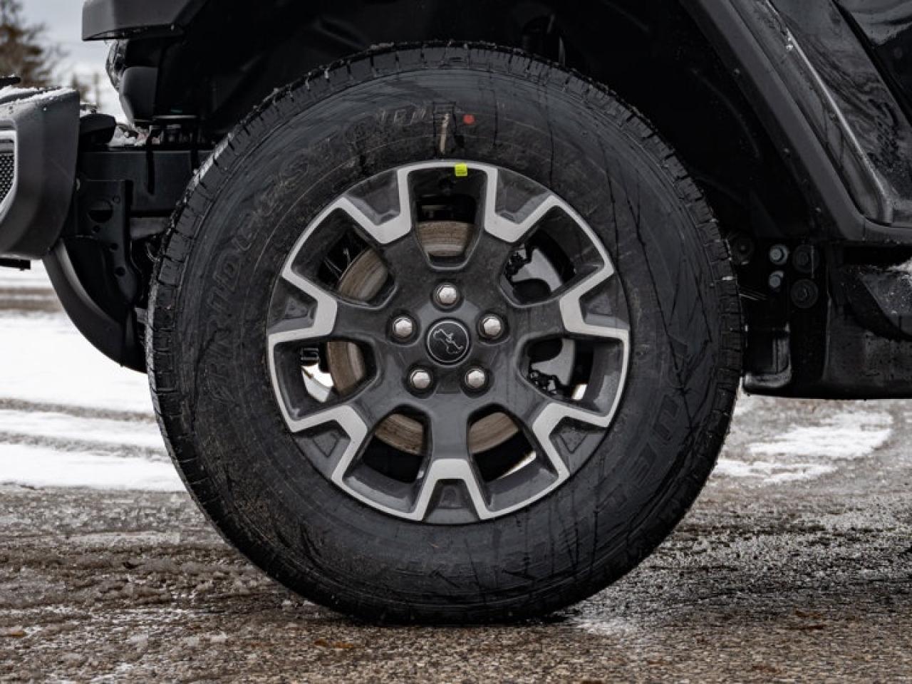 2026 Jeep Wrangler Sahara Photo