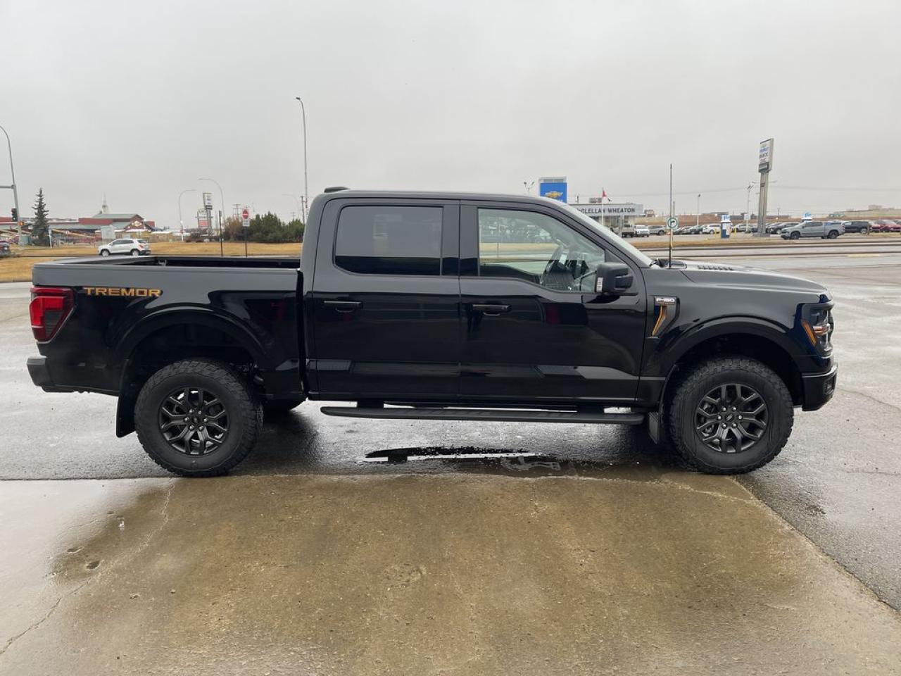 2025 Ford F-150 TREMOR 5.5' Box 401A Photo5