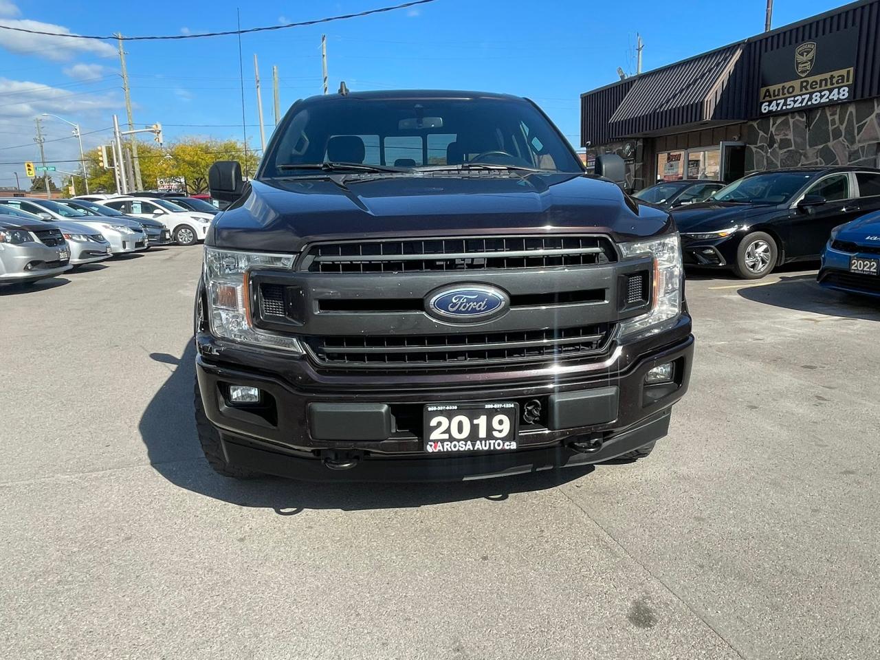 2019 Ford F-150 XLT 4WD SuperCrew 6.5' Box 1owner  NO Accident - Photo #6