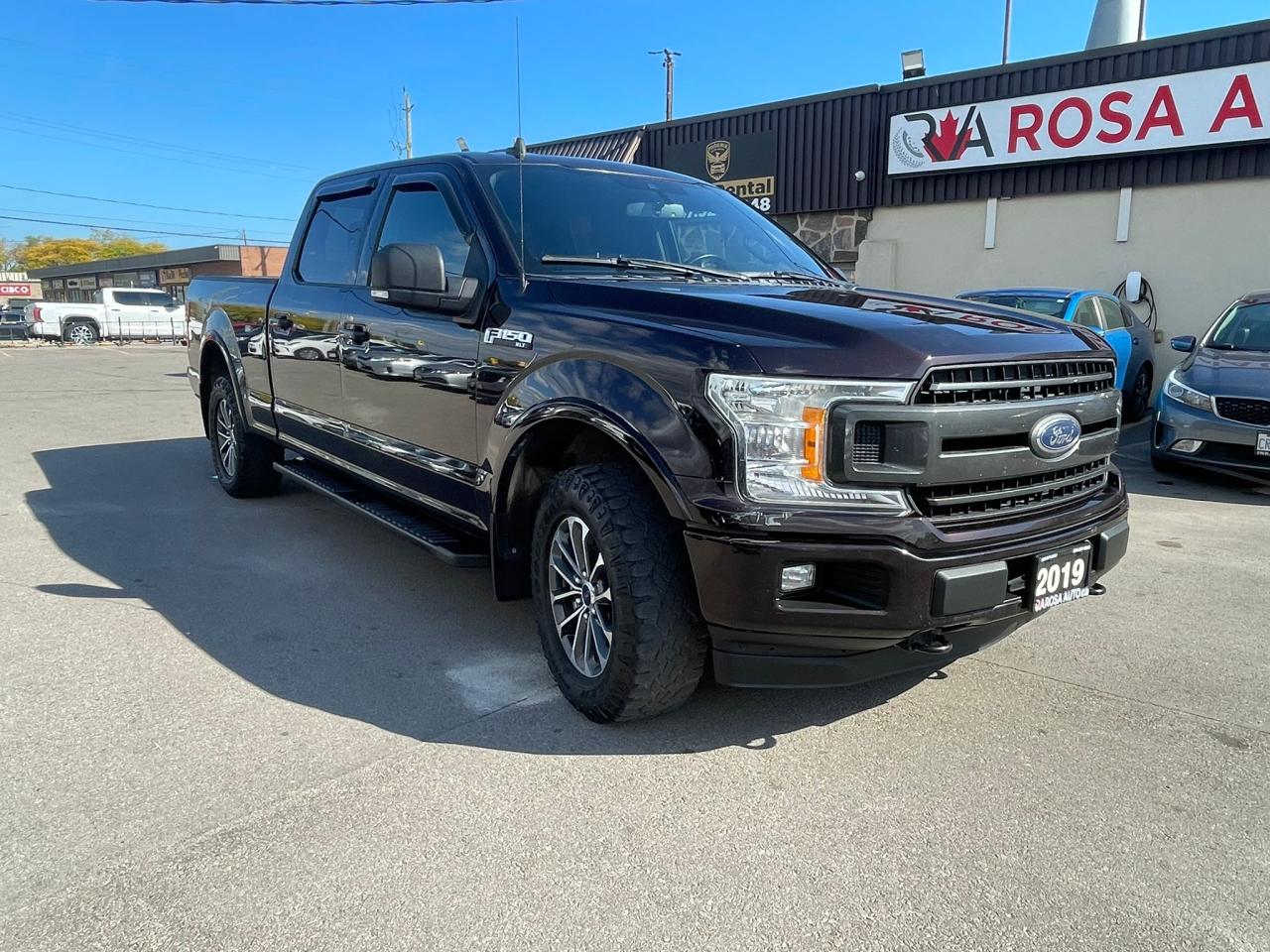 2019 Ford F-150 XLT 4WD SuperCrew 6.5' Box 1owner  NO Accident - Photo #8