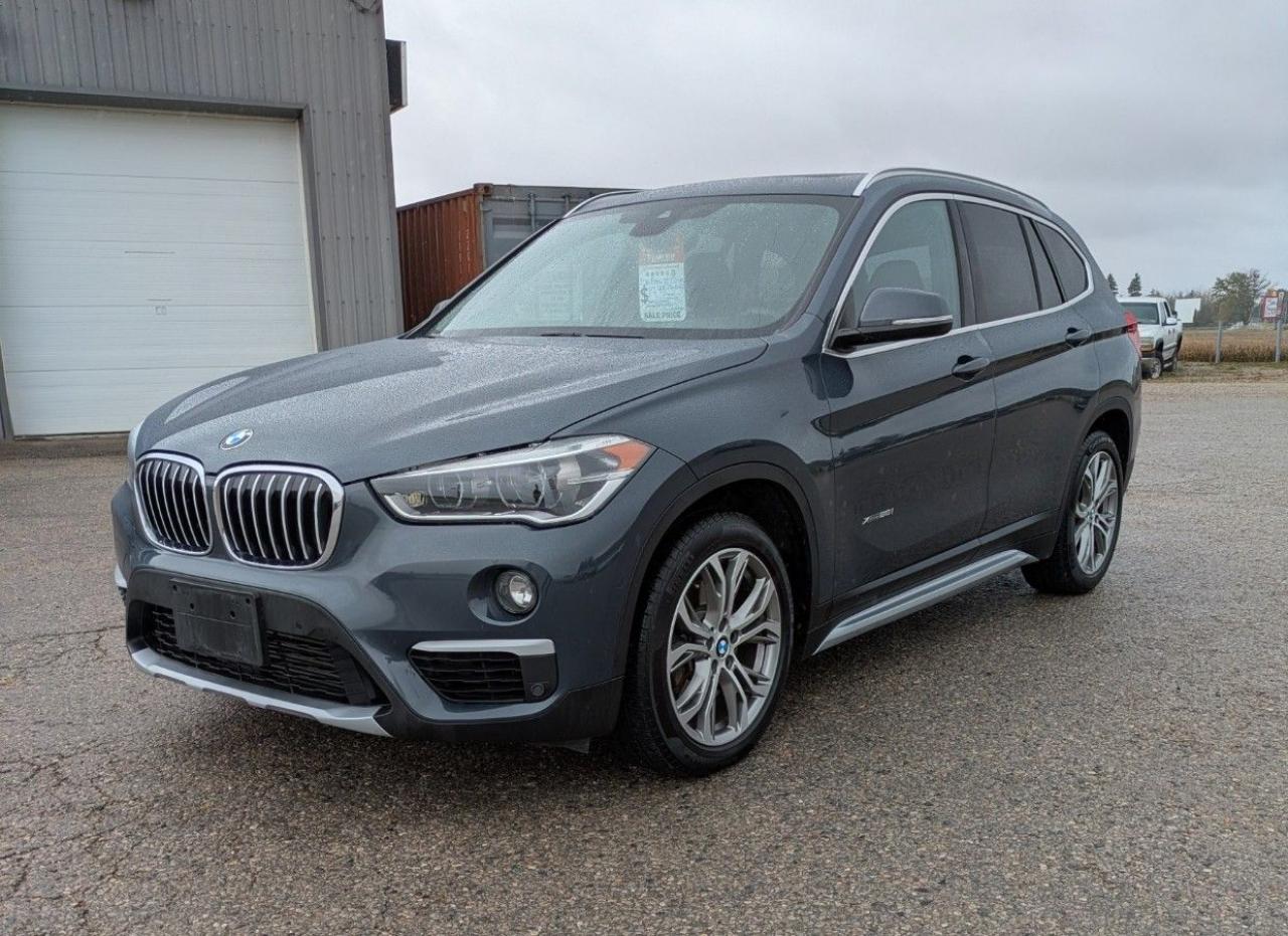 2016 BMW X1 AWD 4dr xDrive28i Photo2