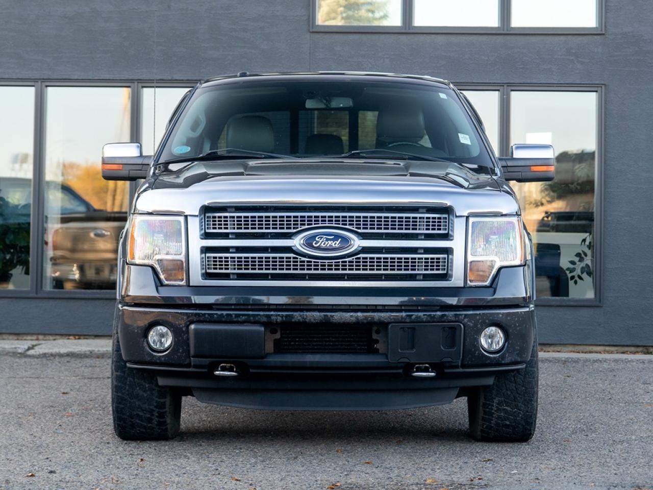 2011 Ford F-150 Platinum AS TRADED SPECIAL Photo2