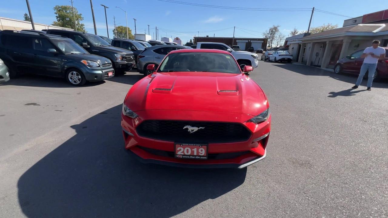 2019 Ford Mustang LOW KMS! | 310HP ECOBOOST | REAR CAM | 18IN ALLOYS Photo2