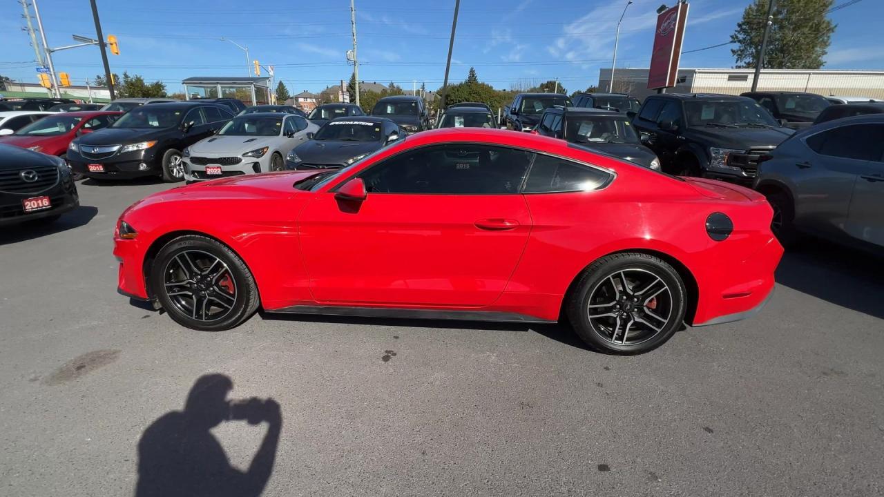 2019 Ford Mustang LOW KMS! | 310HP ECOBOOST | REAR CAM | 18IN ALLOYS Photo4