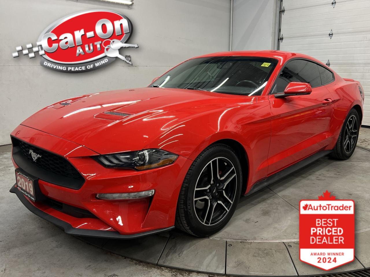 Used 2019 Ford Mustang LOW KMS! | 310HP ECOBOOST | REAR CAM | 18IN ALLOYS for sale in Ottawa, ON
