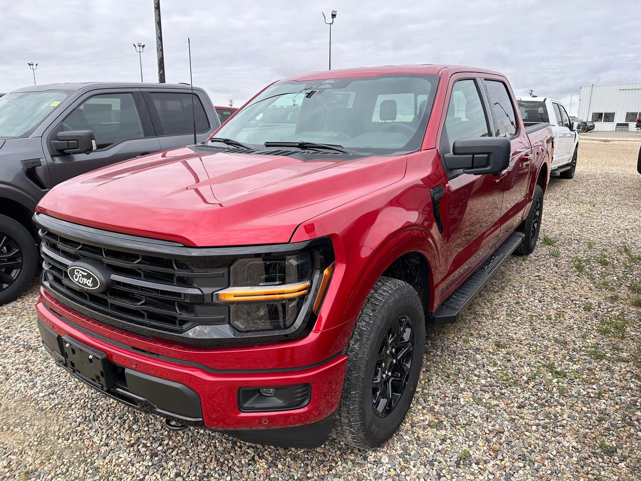 New 2025 Ford F-150 XLT 4WD SuperCrew 5.5' Box for sale in Elie, MB