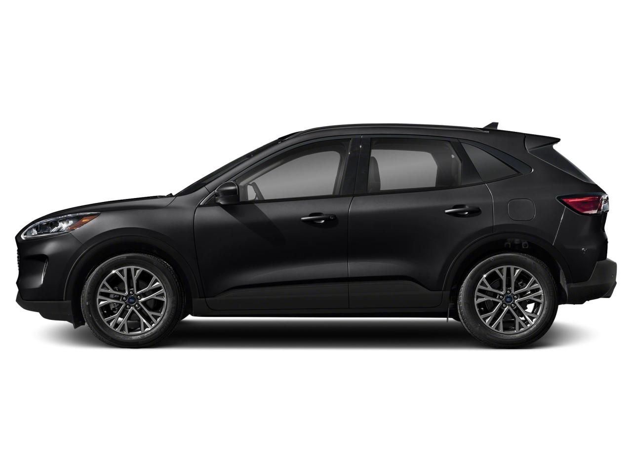 2022 Ford Escape SEL Hybrid Photo5