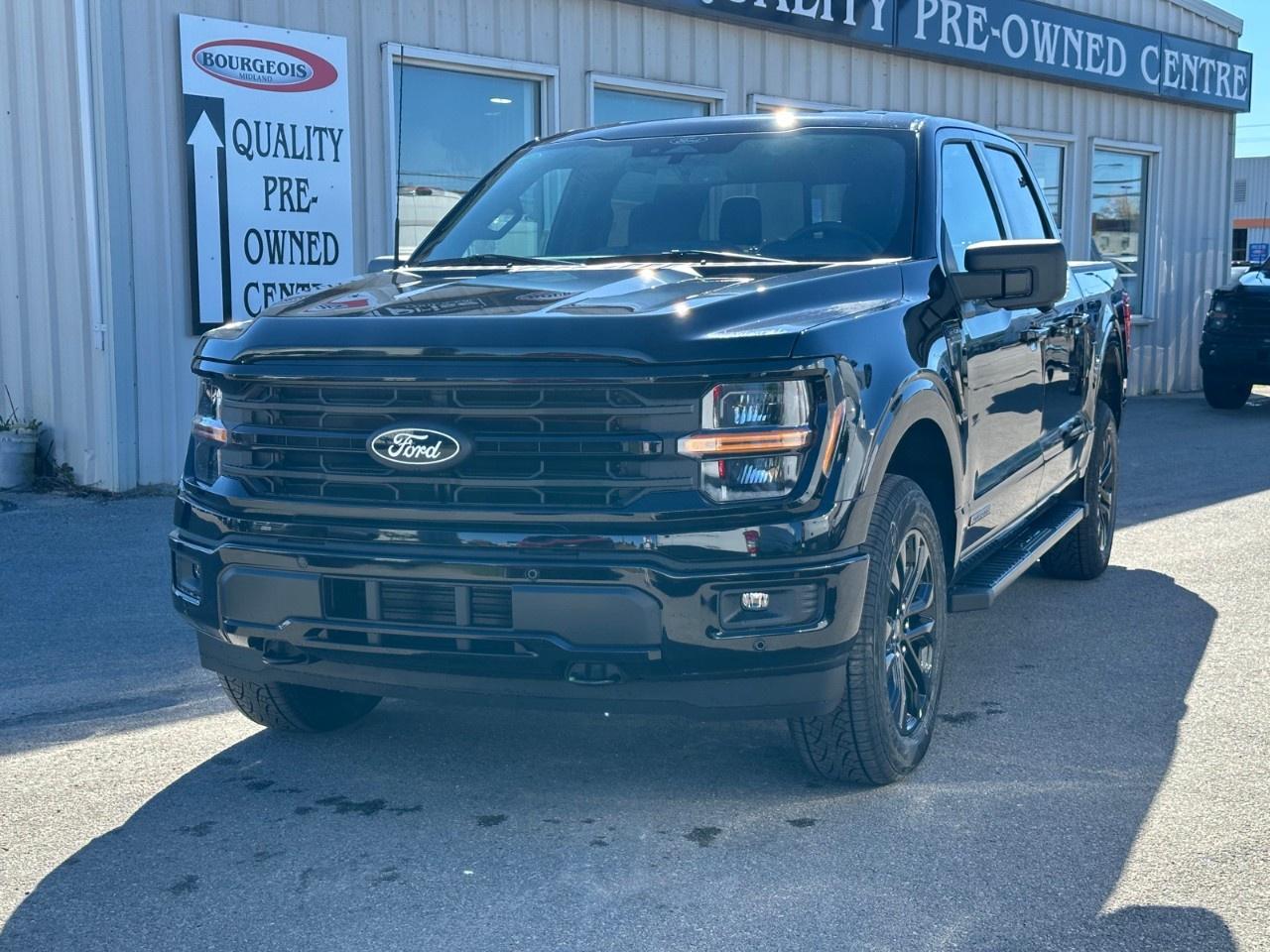 2025 Ford F-150 XLT 4WD SuperCrew 5.5' Box Photo