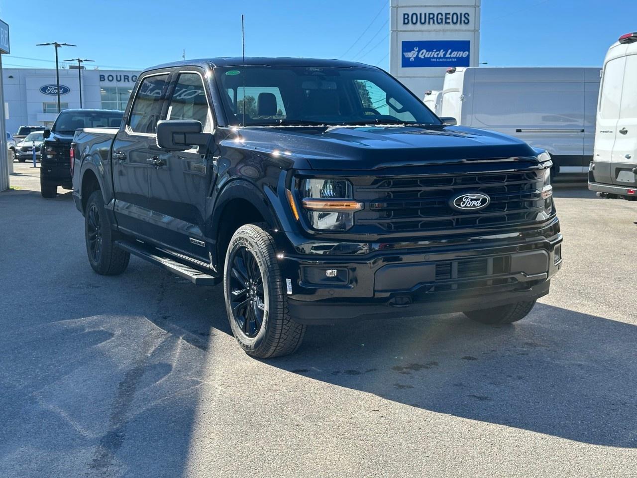 2025 Ford F-150 XLT 4WD SuperCrew 5.5' Box Photo