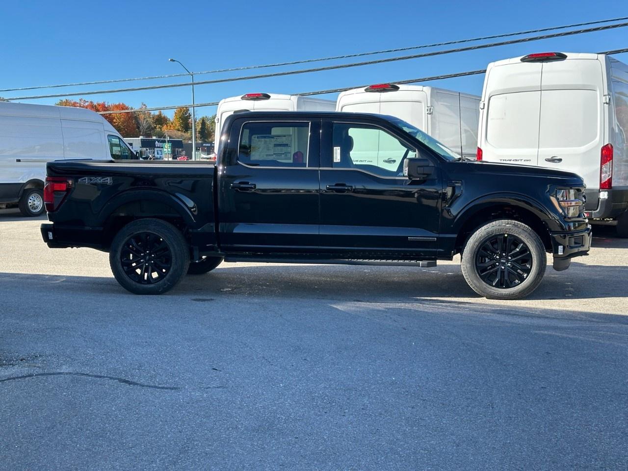 2025 Ford F-150 XLT 4WD SuperCrew 5.5' Box Photo4