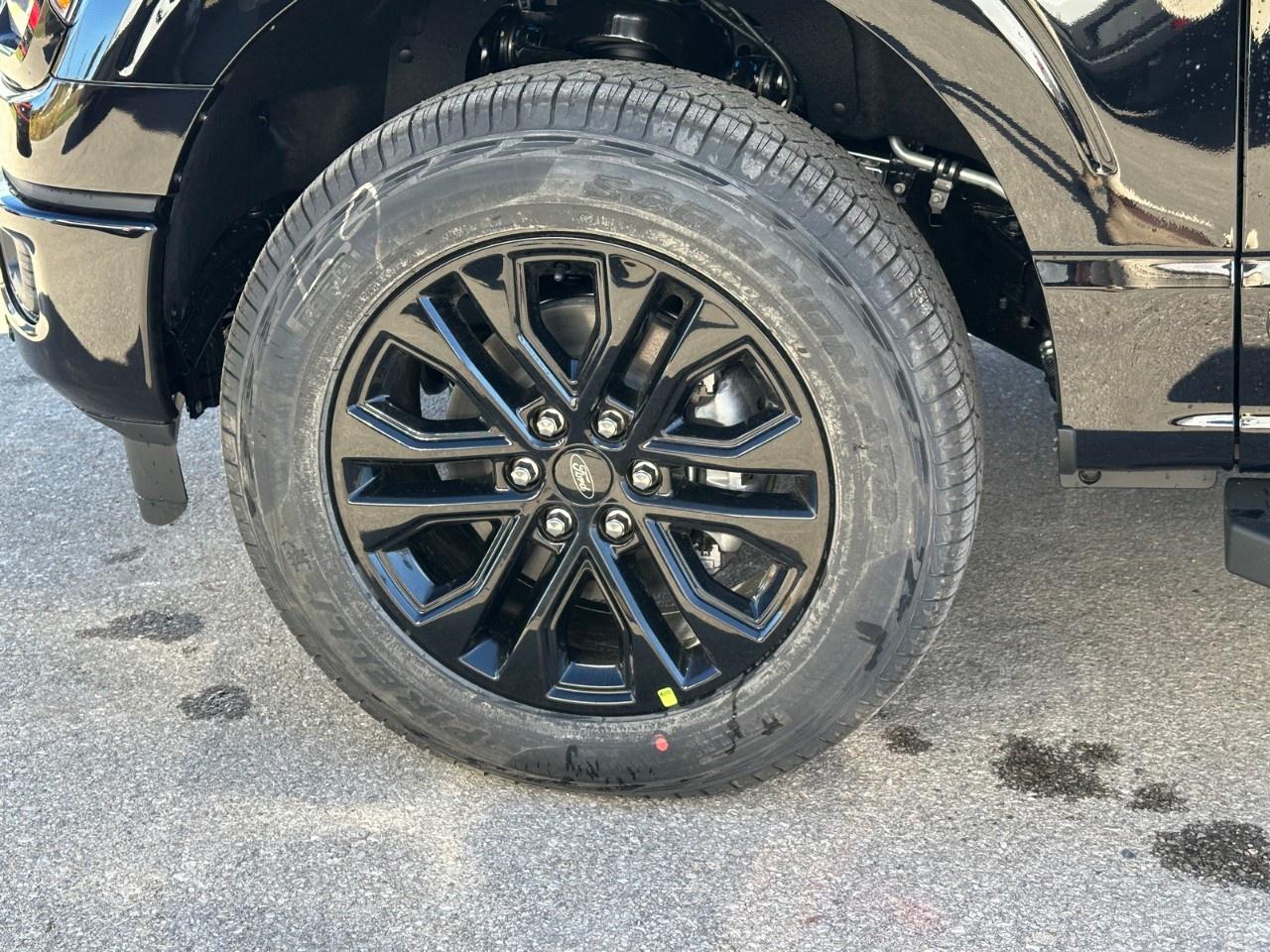 2025 Ford F-150 XLT 4WD SuperCrew 5.5' Box Photo