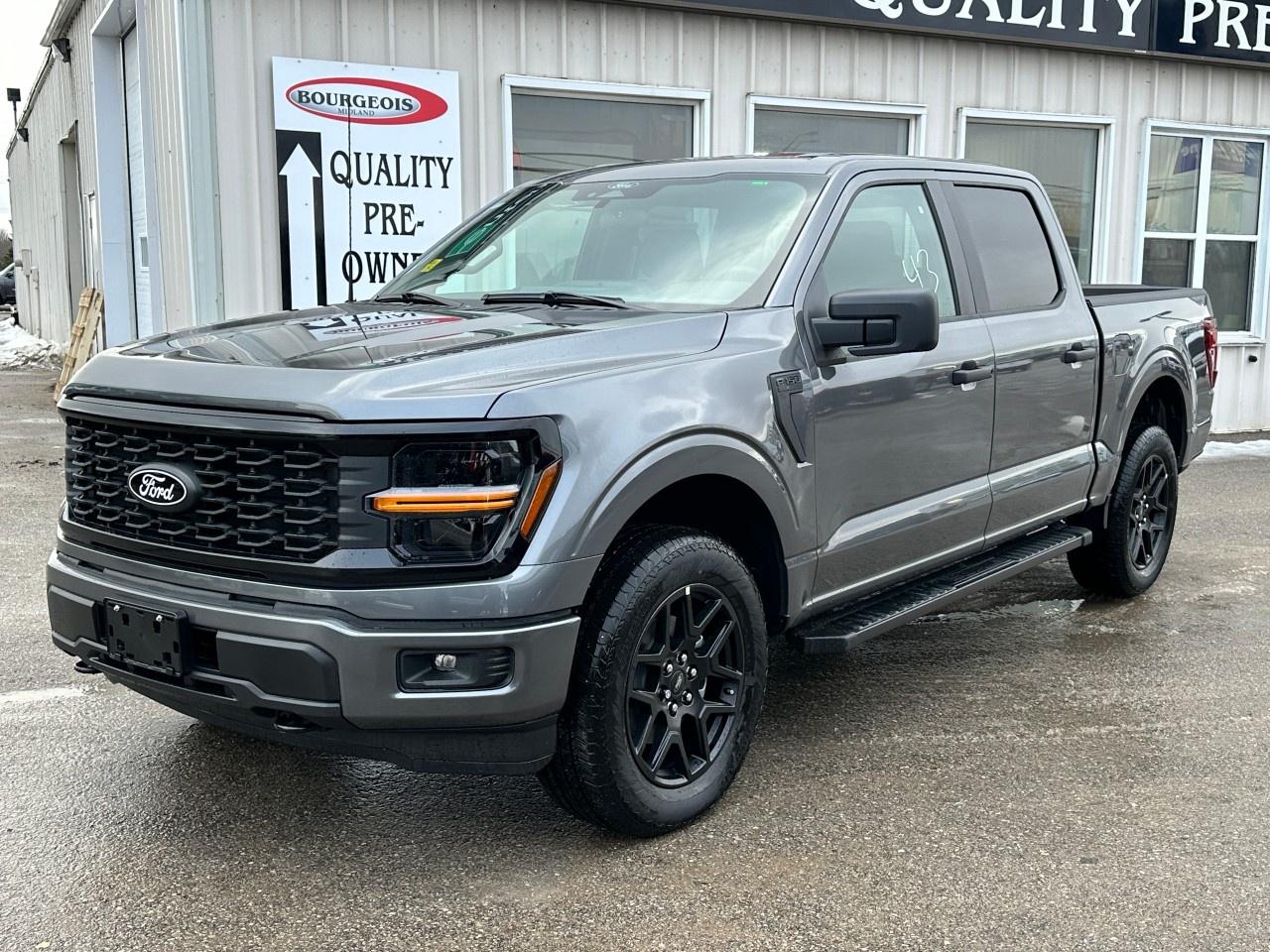 2025 Ford F-150 STX 4WD SuperCrew 5.5' Box Photo