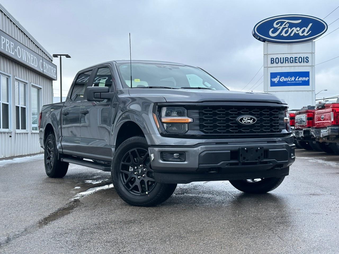 2025 Ford F-150 STX 4WD SuperCrew 5.5' Box Photo