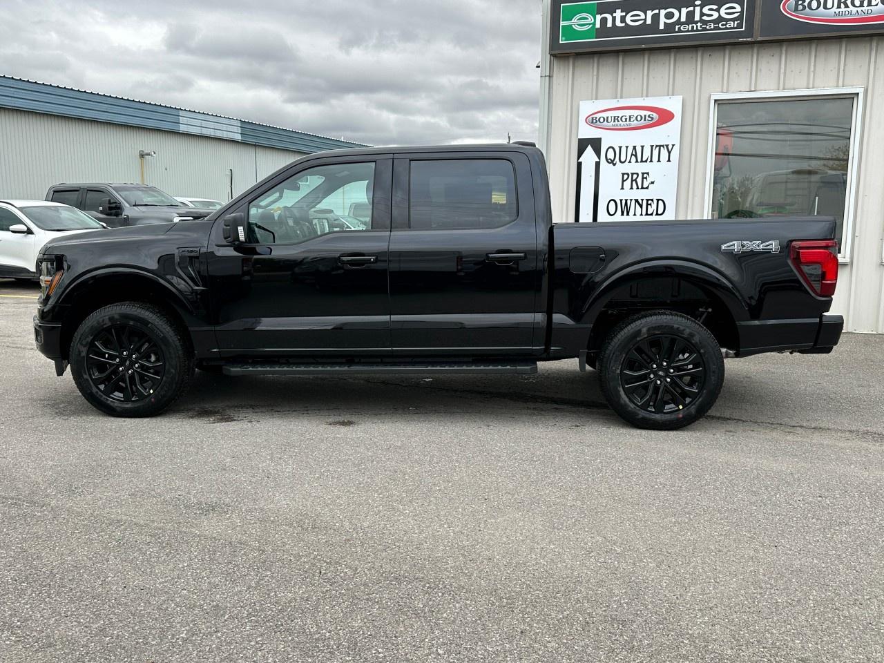 2025 Ford F-150 XLT 4WD SuperCrew 5.5' Box Photo