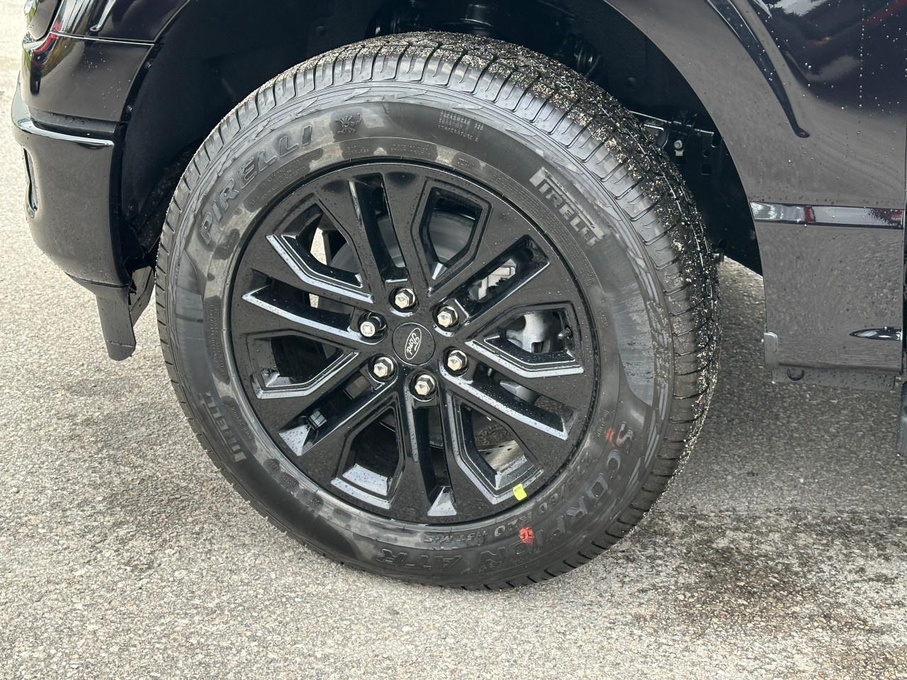 2025 Ford F-150 XLT 4WD SuperCrew 5.5' Box Photo