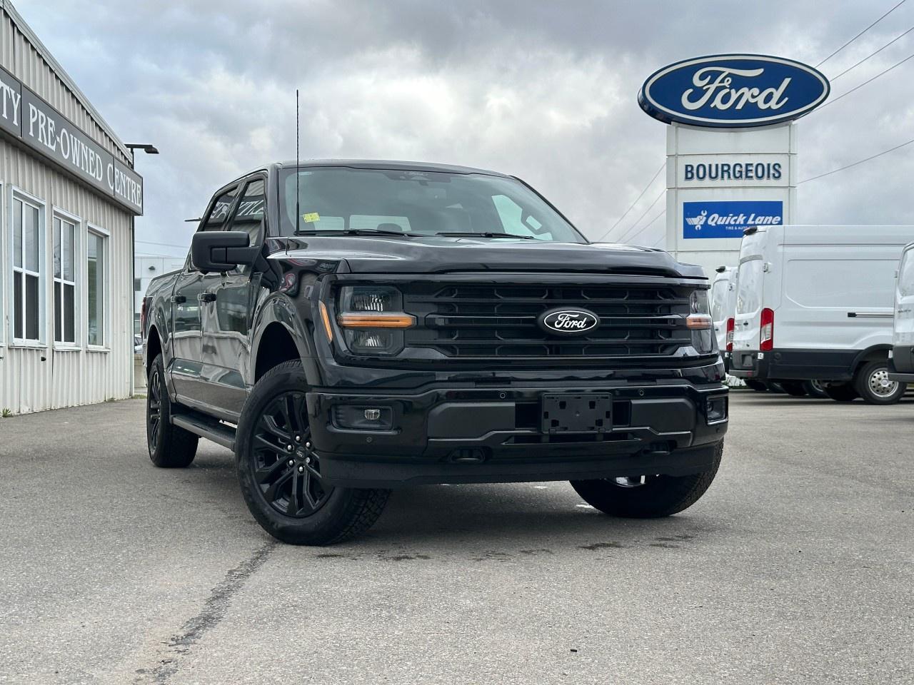 2025 Ford F-150 XLT 4WD SuperCrew 5.5' Box Photo
