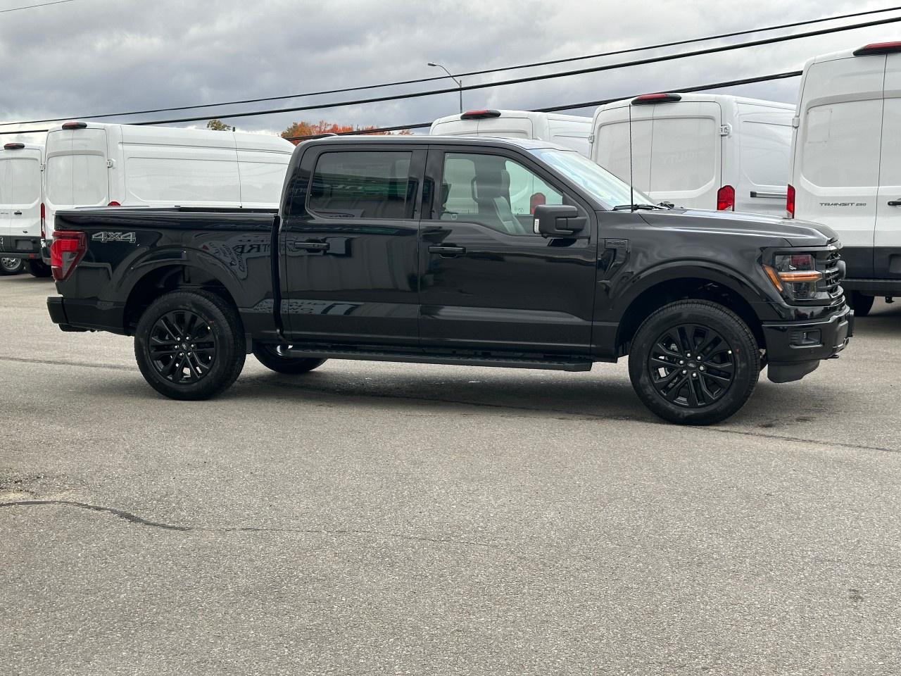 2025 Ford F-150 XLT 4WD SuperCrew 5.5' Box Photo4
