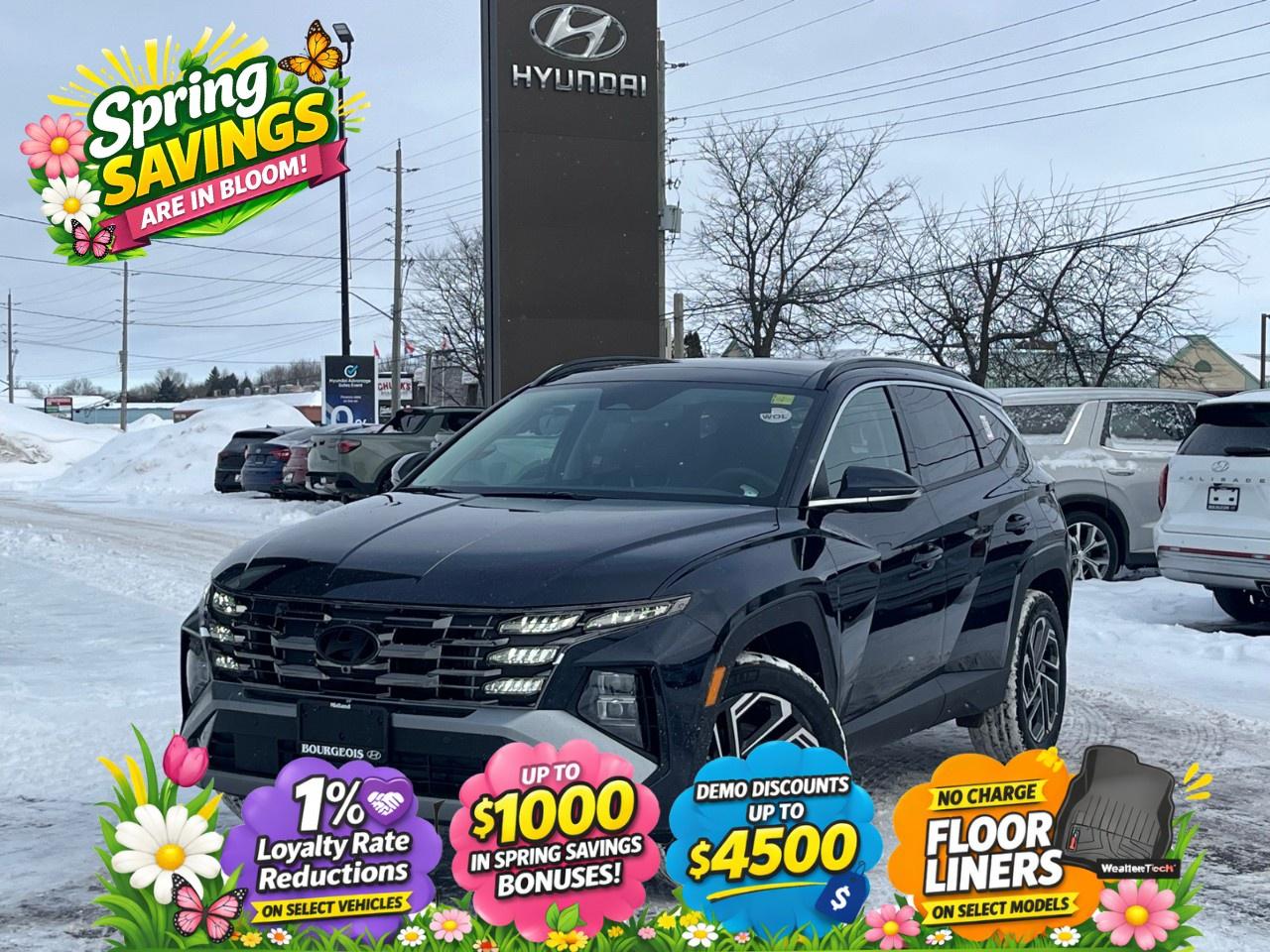 2026 Hyundai Tucson Hybrid Ultimate AWD Photo