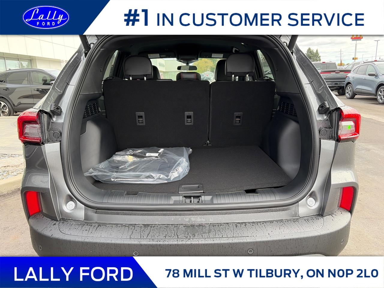 2026 Ford Escape ST-Line Select Photo4