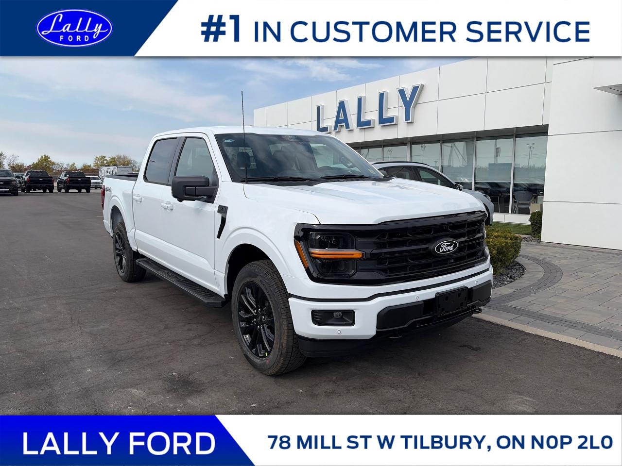 New 2025 Ford F-150 XLT for sale in Tilbury, ON