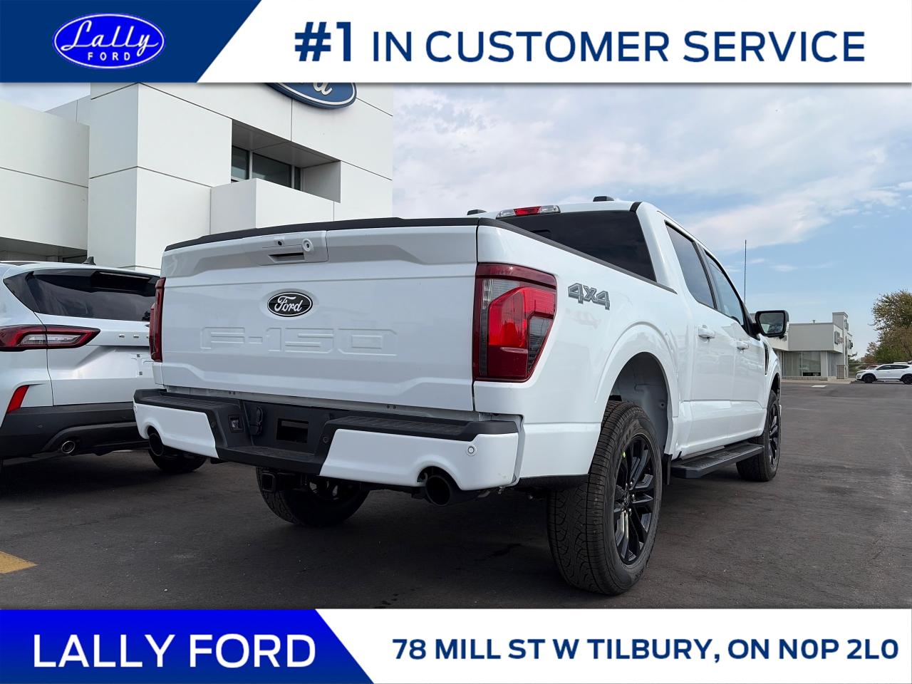 2025 Ford F-150 XLT Photo