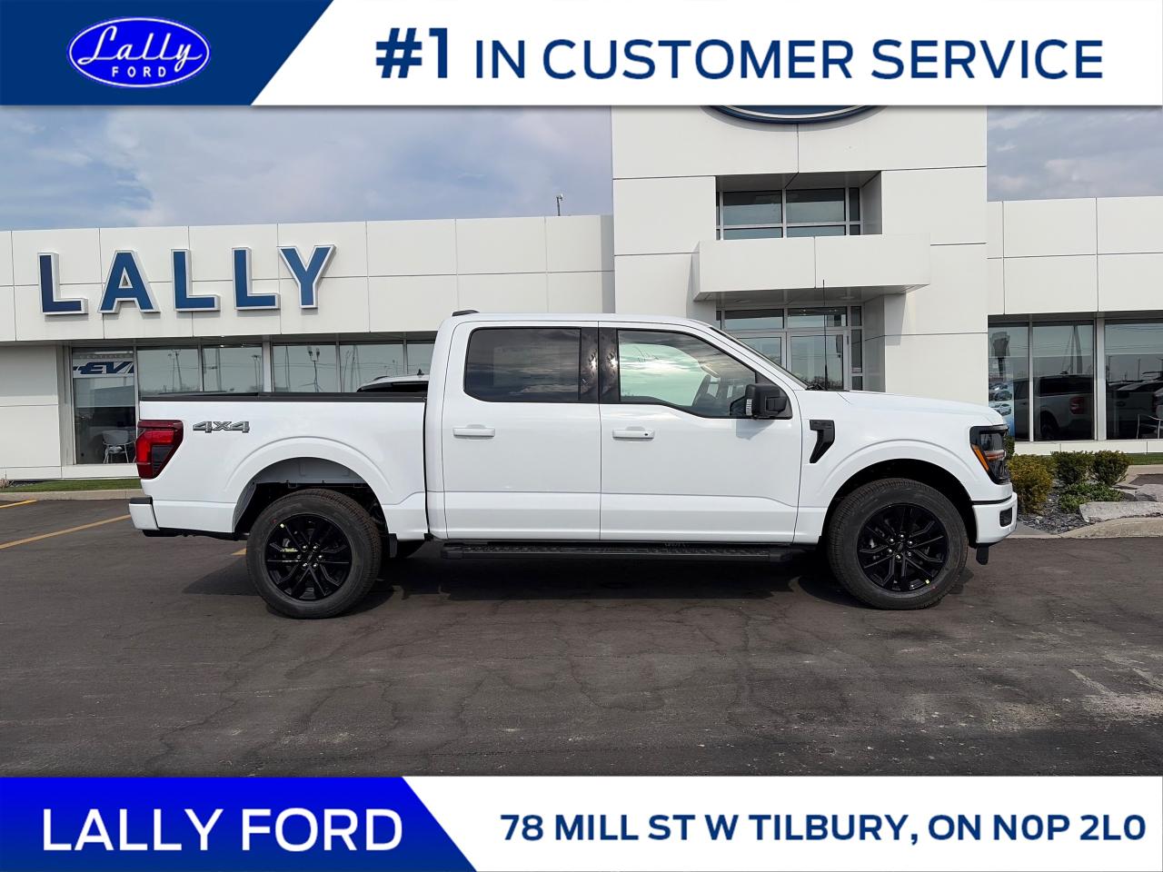 2025 Ford F-150 XLT Photo