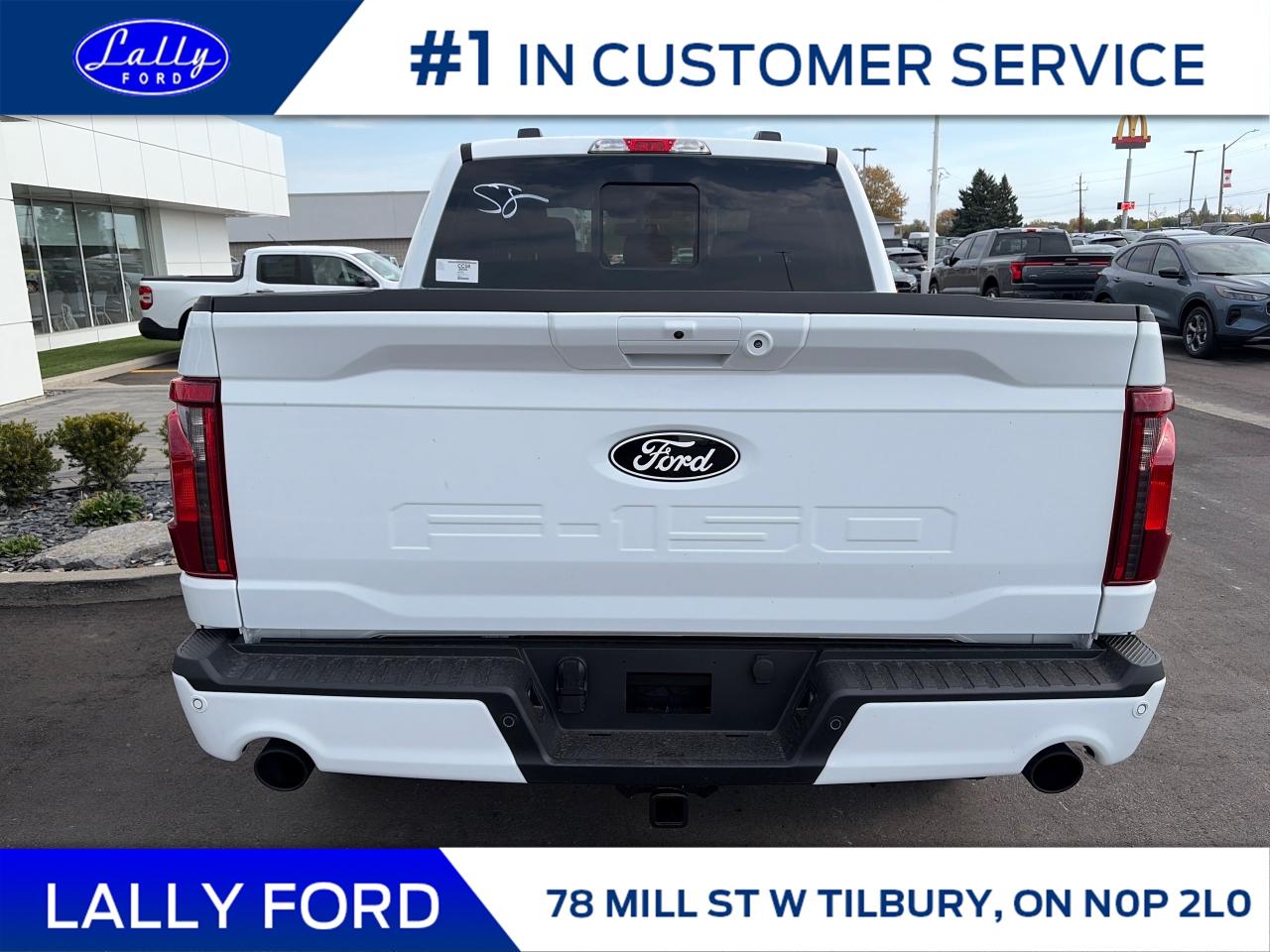 2025 Ford F-150 XLT Photo