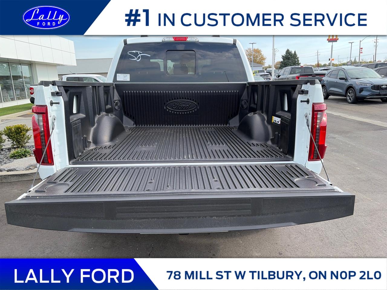 2025 Ford F-150 XLT Photo4