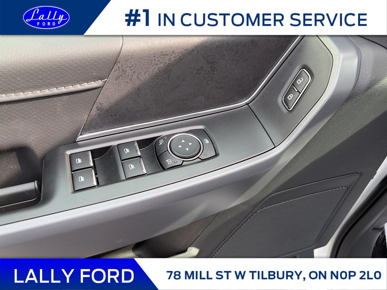 2025 Ford F-150 XLT Photo