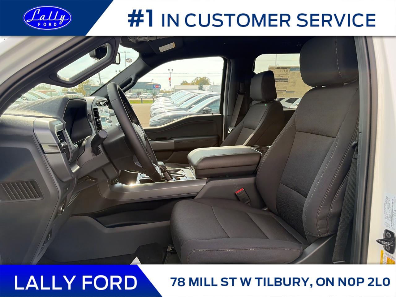 2025 Ford F-150 XLT Photo