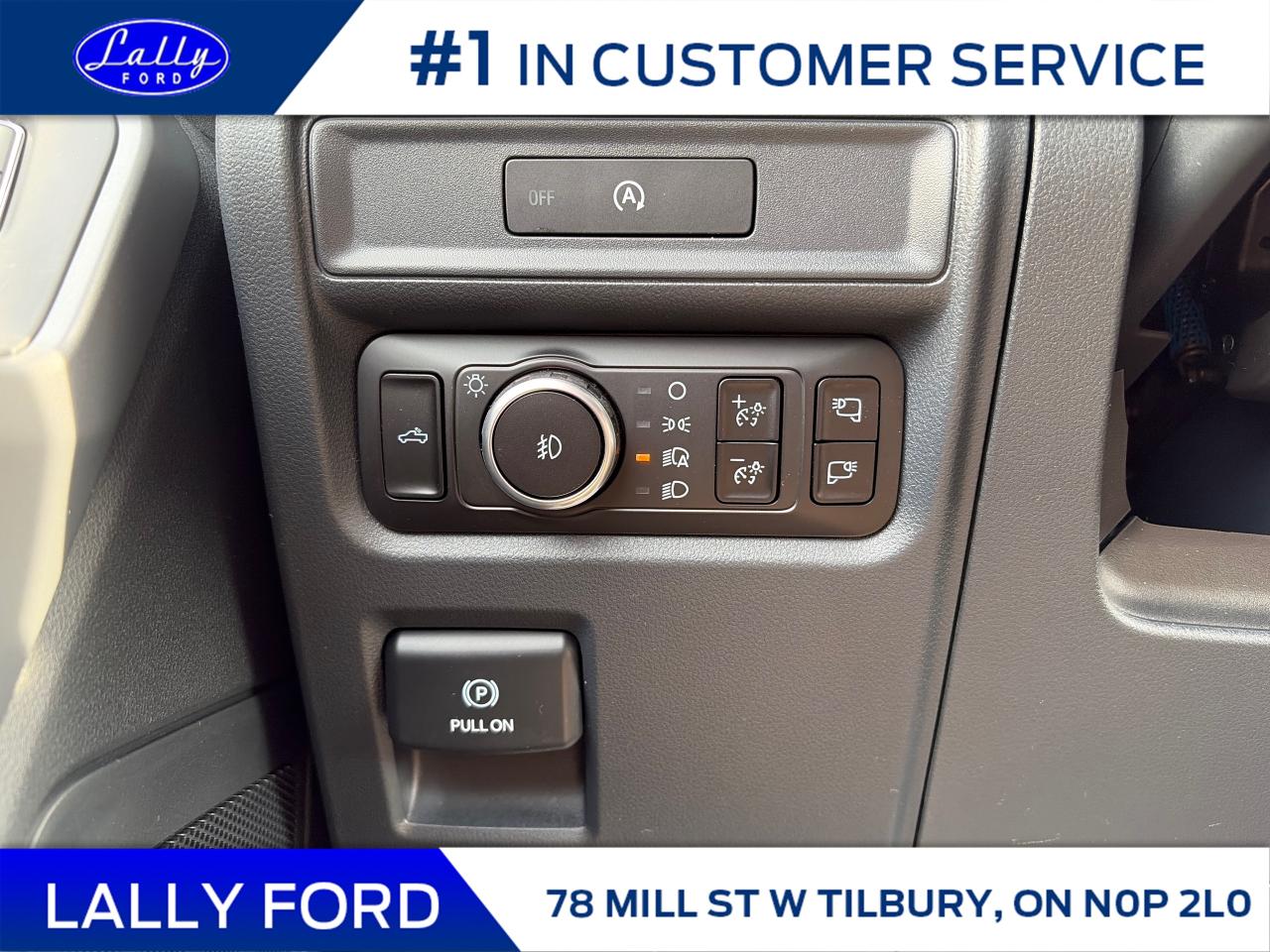 2025 Ford F-150 XLT Photo