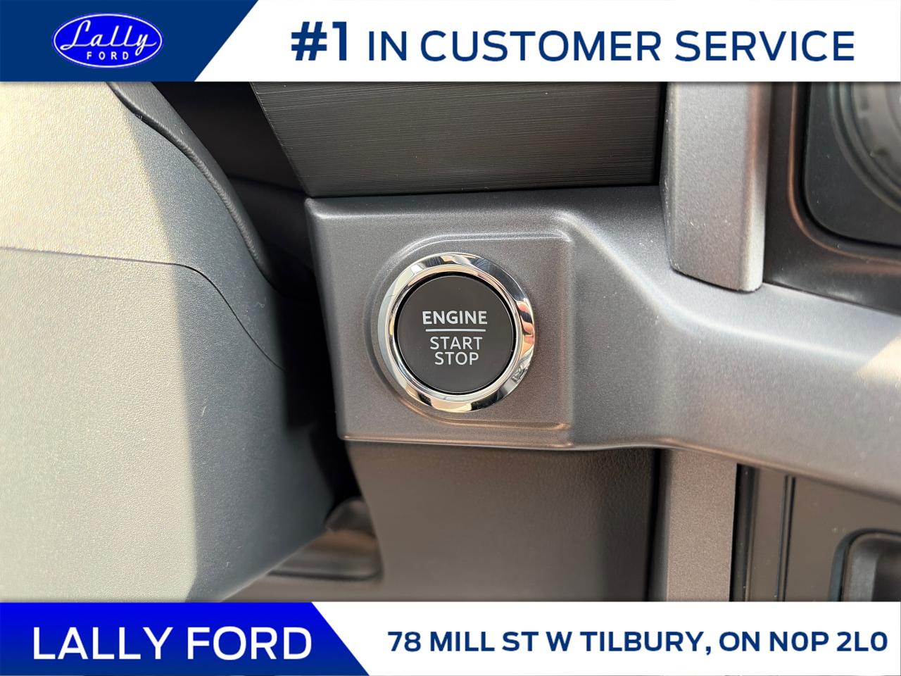 2025 Ford F-150 XLT Photo