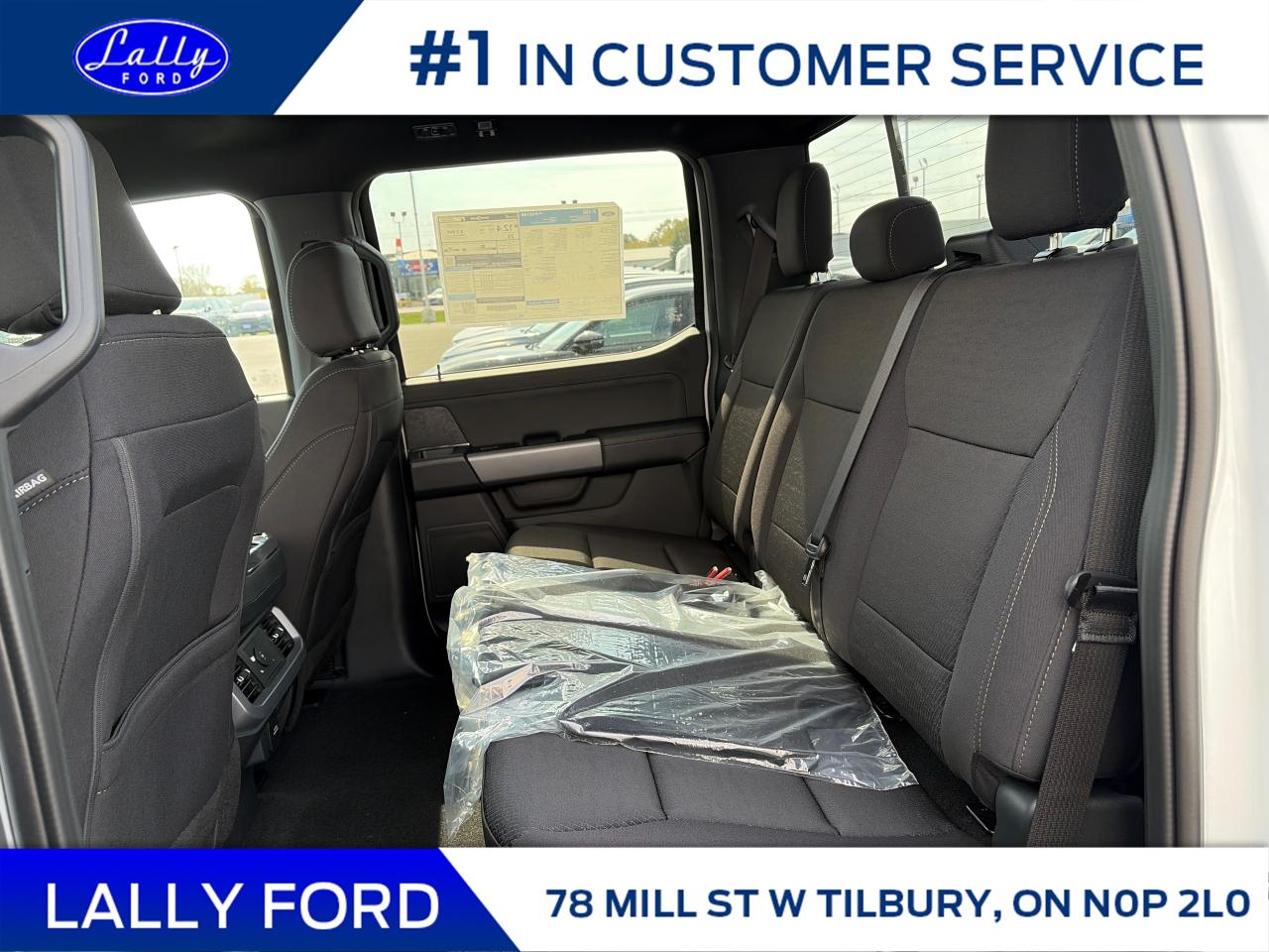 2025 Ford F-150 XLT Photo