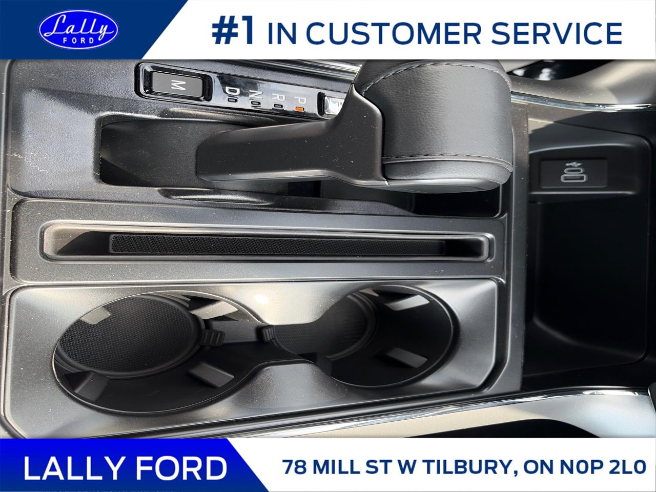 2025 Ford F-150 XLT Photo