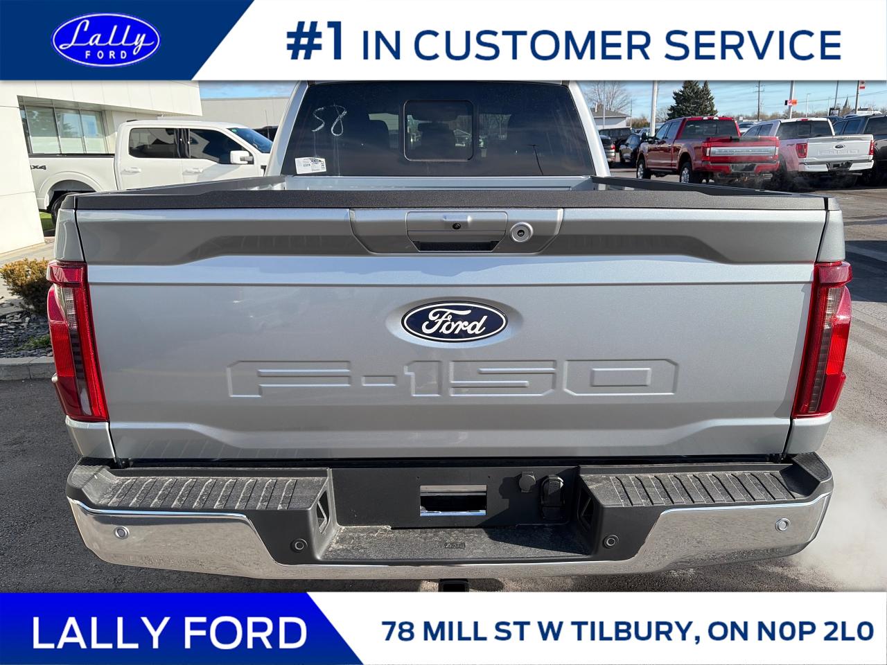 2025 Ford F-150 XLT Photo3