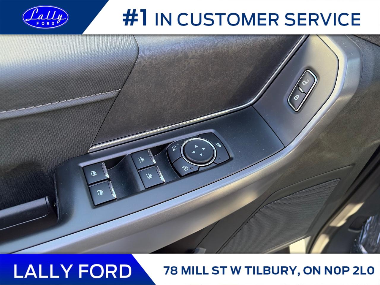 2025 Ford F-150 XLT Photo