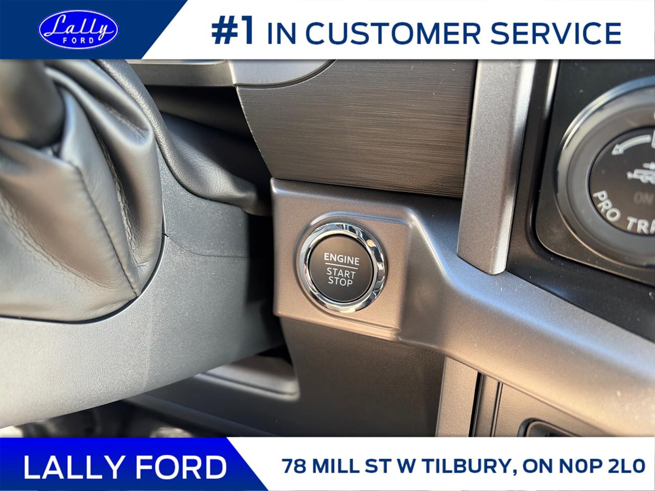 2025 Ford F-150 XLT Photo