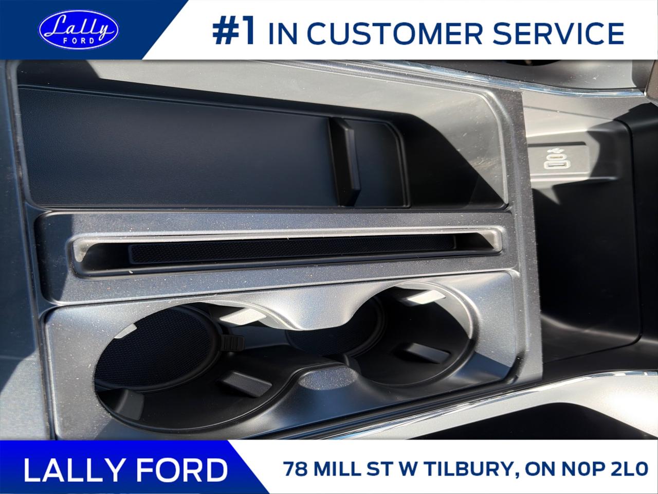 2025 Ford F-150 XLT Photo