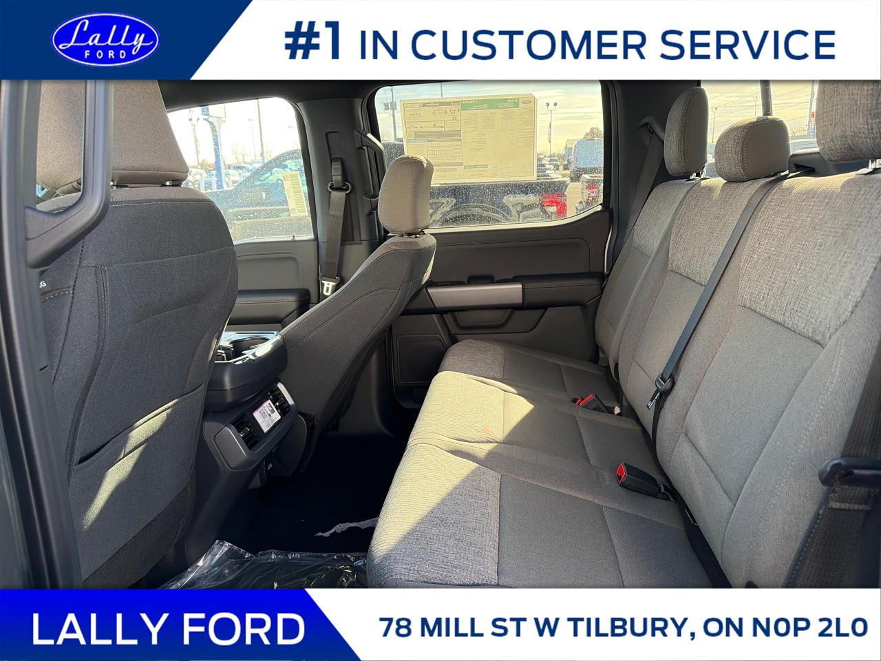 2025 Ford F-150 XLT Photo