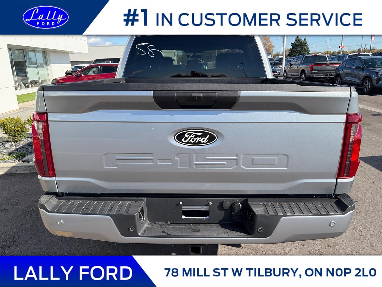 2025 Ford F-150 XLT Photo