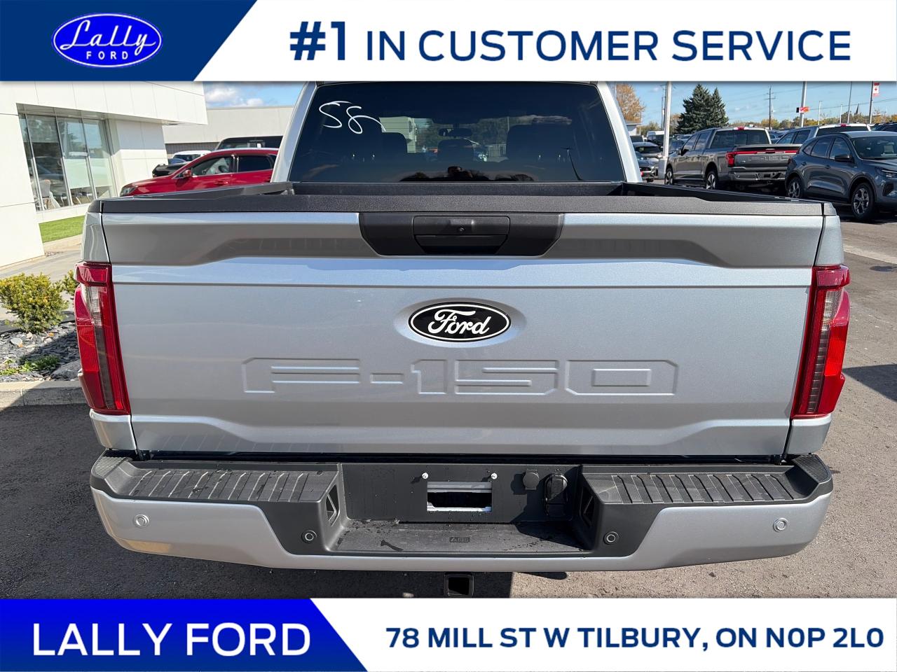 2025 Ford F-150 XLT Photo