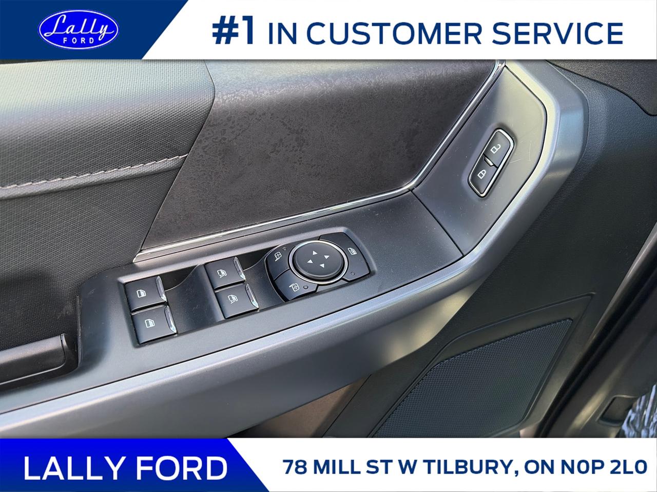 2025 Ford F-150 XLT Photo